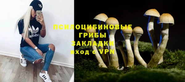 дживик Балахна