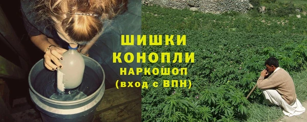дживик Балахна