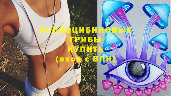 дживик Балахна