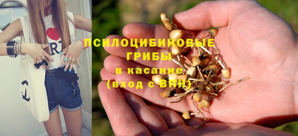 дживик Балабаново
